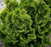 22-12 023 — копия — копия — копия (2) — копия